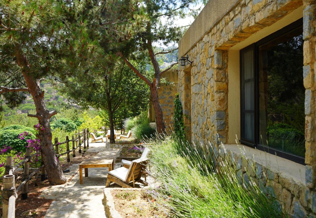 Blue Jay Valley Jezzine Luaran gambar