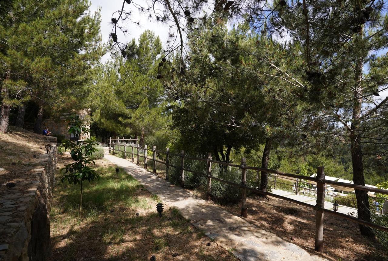 Blue Jay Valley Jezzine Luaran gambar