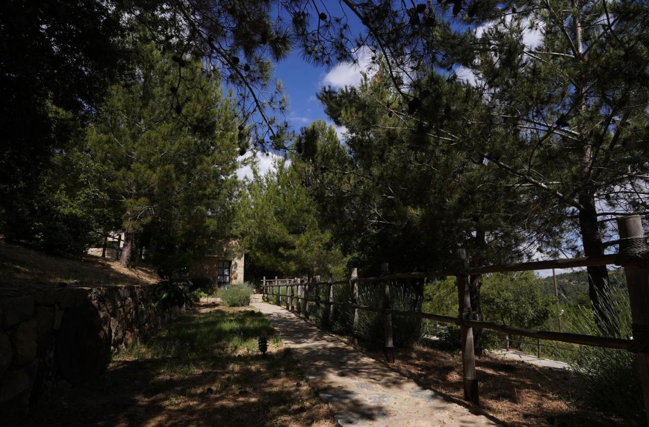 Blue Jay Valley Jezzine Luaran gambar